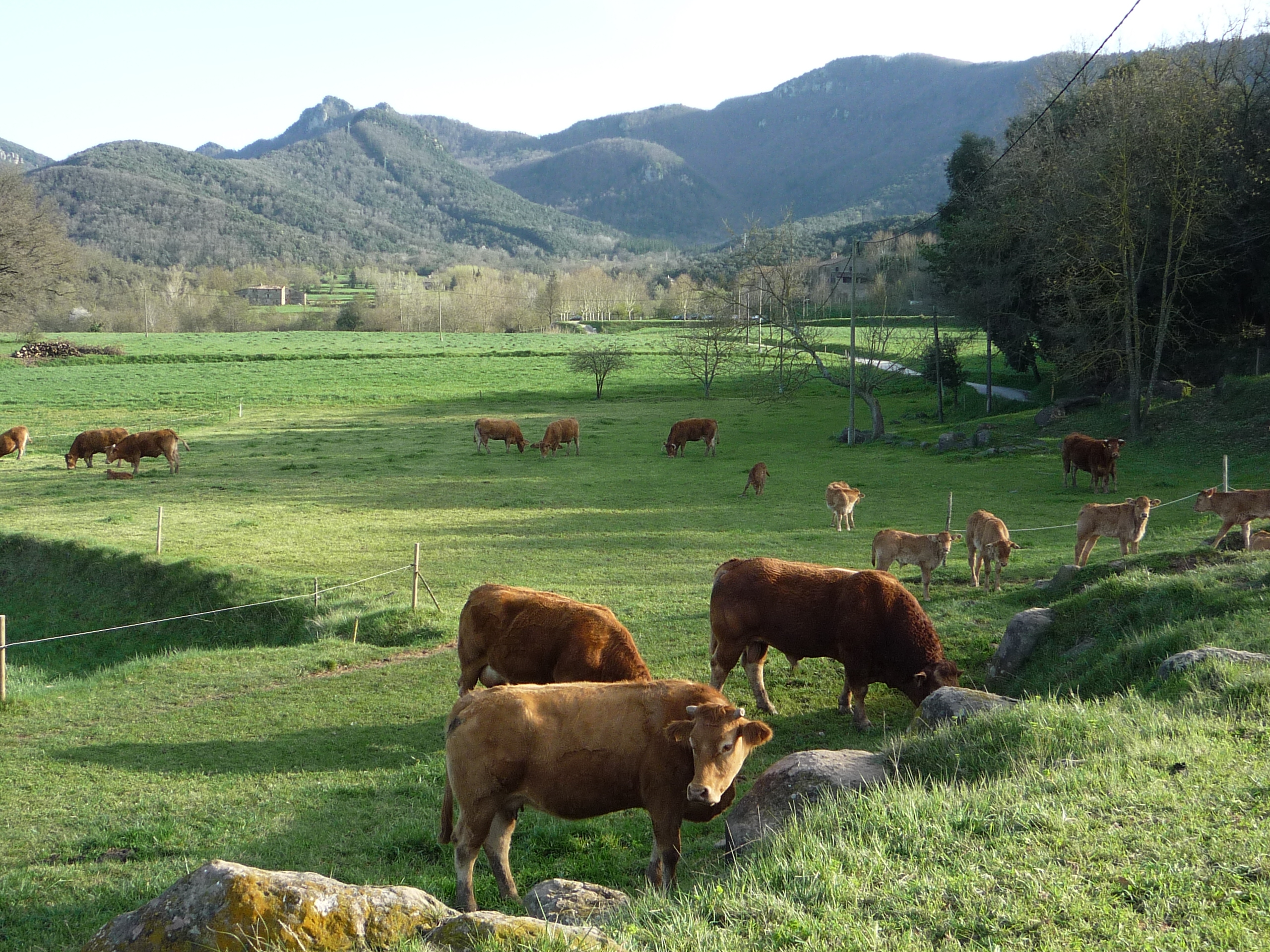 VISITA NUESTRA GRANJA